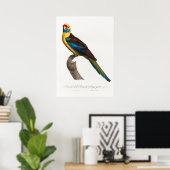 Poster Perroquet (Bureau à domicile)