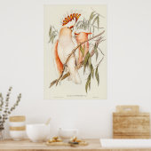 Poster Perroquet (Cuisine)