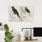 Poster Perroquet (Bureau à domicile)