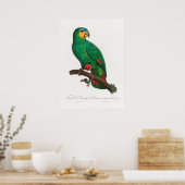 Poster Perroquet (Cuisine)