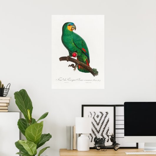 Poster Perroquet (Bureau à domicile)