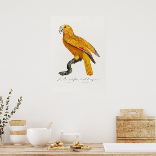 Poster Perroquet (Cuisine)
