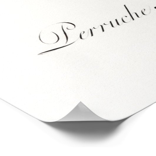 Poster Perroquet (Coin)