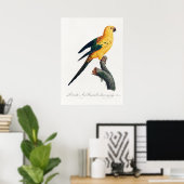Poster Perroquet (Bureau à domicile)
