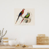 Poster Perroquet (Cuisine)