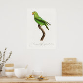 Poster Perroquet (Cuisine)