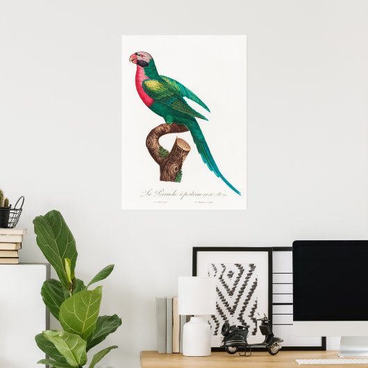 Poster Perroquet (Bureau à domicile)