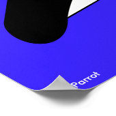 Poster Perroquet (Coin)