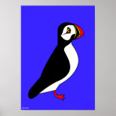 Poster Perroquet (Devant)