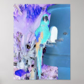 Poster Perroquet (Devant)