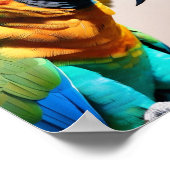 Poster Perroquet (Coin)