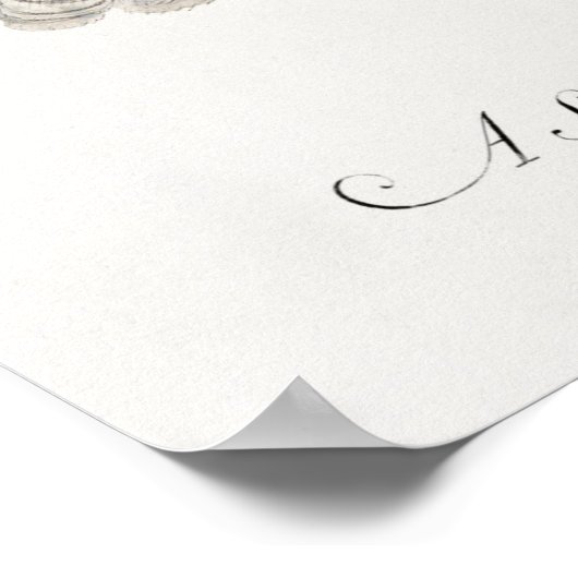 Poster Perroquet (Coin)