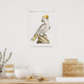 Poster Perroquet (Cuisine)