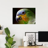 Poster Perroquet (Bureau à domicile)
