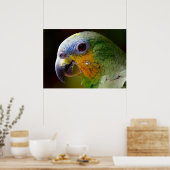 Poster Perroquet (Cuisine)