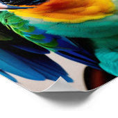 Poster Perroquet (Coin)