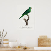 Poster Perroquet (Cuisine)