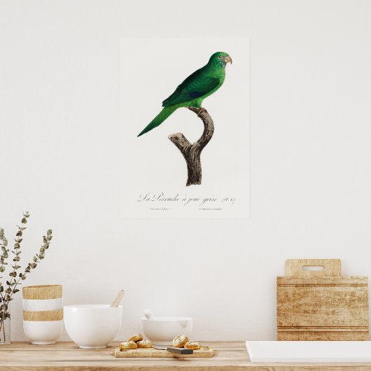 Poster Perroquet (Cuisine)