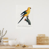 Poster Perroquet (Cuisine)