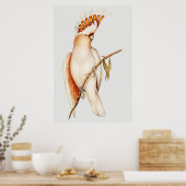 Poster Perroquet (Cuisine)