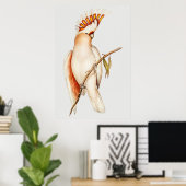 Poster Perroquet (Bureau à domicile)