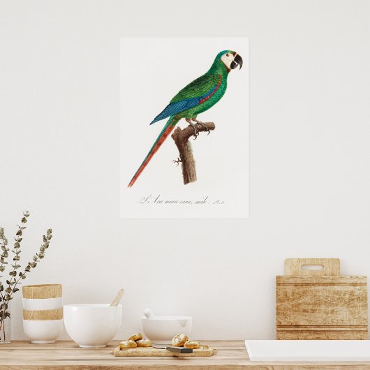 Poster Perroquet (Cuisine)