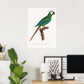 Poster Perroquet (Bureau à domicile)