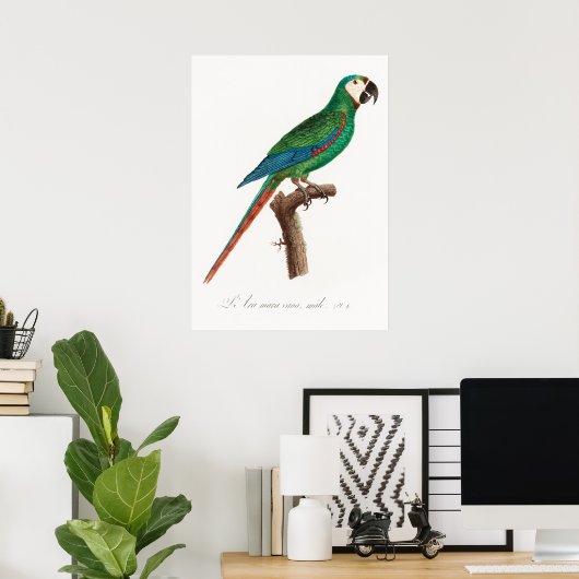 Poster Perroquet (Bureau à domicile)