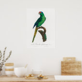 Poster Perroquet (Cuisine)