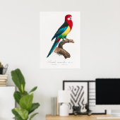 Poster Perroquet (Bureau à domicile)