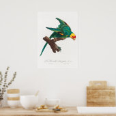 Poster Perroquet (Cuisine)