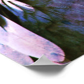 Poster Perroquet (Coin)