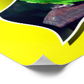 Poster Perroquet À Tête Douloureuse Hors Limites (Coin)