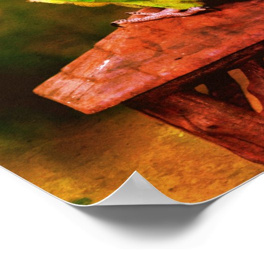 Poster Perroquet à tête lisse Abstrait dénudé (Coin)