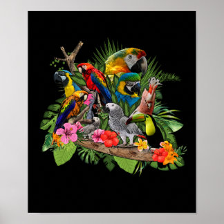 Poster Perroquet Afro-Gris Perroquet Cockatiel
