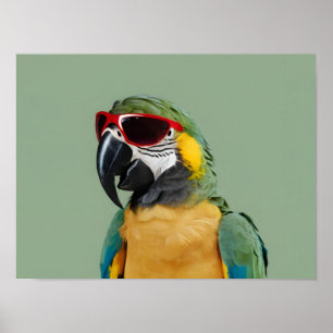 Poster Perroquet animal de fête en lunettes rouges