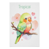 Poster Perroquet Bébé Garçon Tweets Tropicaux (Devant)