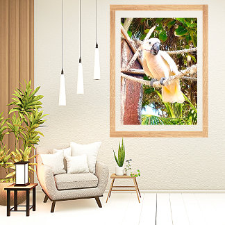 Poster Perroquet blanc tropical mexicain