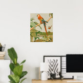 Poster Perroquet de la jungle de Macaw rouge et vert (Bureau à domicile)