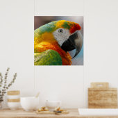 Poster Perroquet de Macaw Tropical (Cuisine)