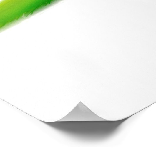 Poster Perroquet de moine Quaker (Coin)