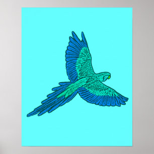 Poster Perroquet en vol, Aqua et Bleu Cobalt