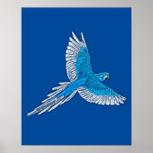 Poster Perroquet en vol, bleu et blanc de cobalt (Devant)