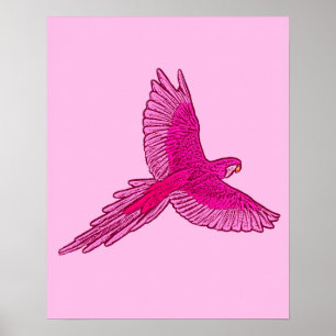 Poster Perroquet en vol, Fuchsia et rose glace