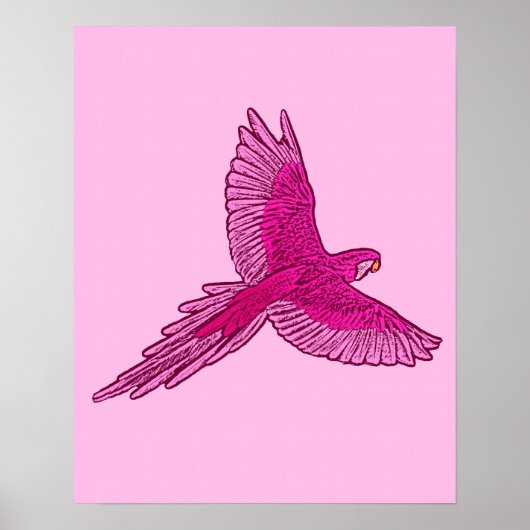Poster Perroquet en vol, Fuchsia et rose glace (Devant)