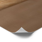 Poster Perroquet gris (Coin)