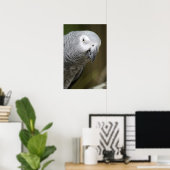 Poster perroquet gris (Bureau à domicile)