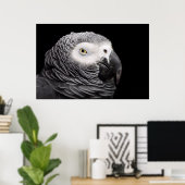 Poster Perroquet gris d'Afrique (Bureau à domicile)