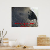Poster Perroquet gris d'Afrique (Cuisine)