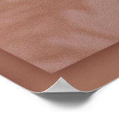 Poster Perroquet gris d'Afrique (Coin)